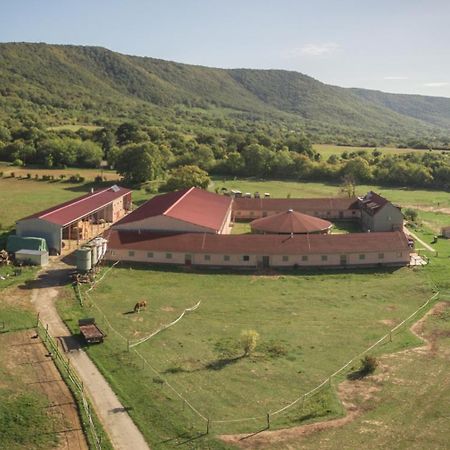 Totvar Lovas Szallashely Kovagotottos Buitenkant foto