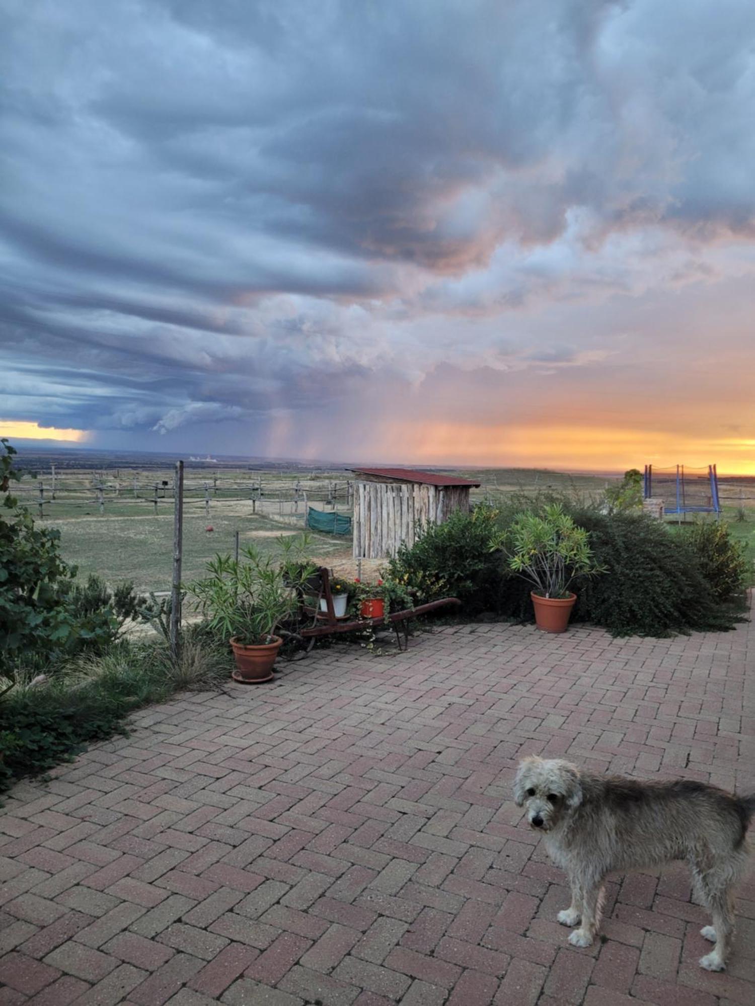Totvar Lovas Szallashely Kovagotottos Buitenkant foto