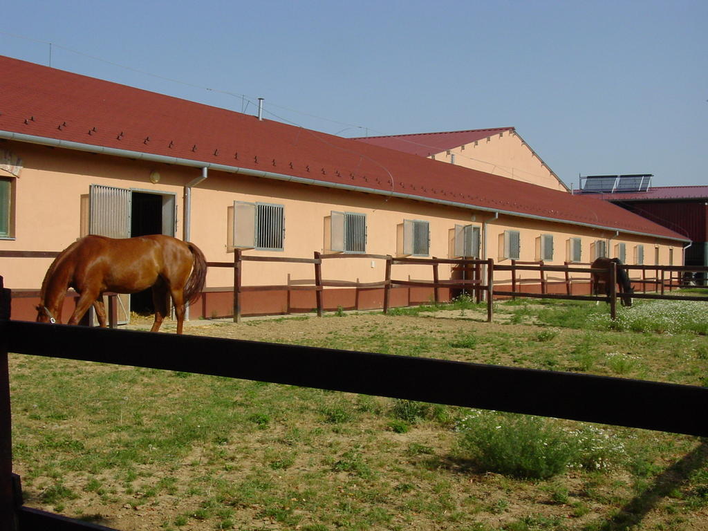 Totvar Lovas Szallashely Kovagotottos Buitenkant foto